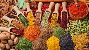 Spice Farm Tour